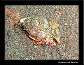 IMG_5170